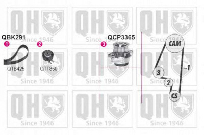 QUINTON HAZELL qbpk2911 -  Водяной насос + комплект зубчатого ремня